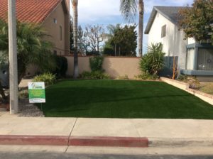 synthetic grass front yard