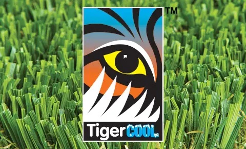 tiger cool logo