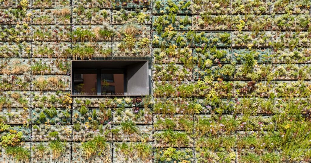 modern sustainable architecture