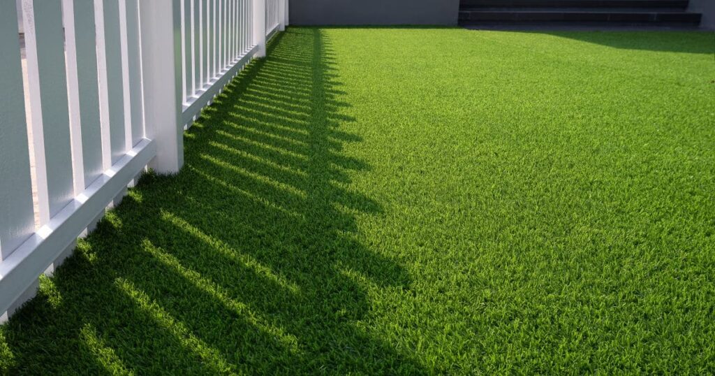 sunlight over artificial grass